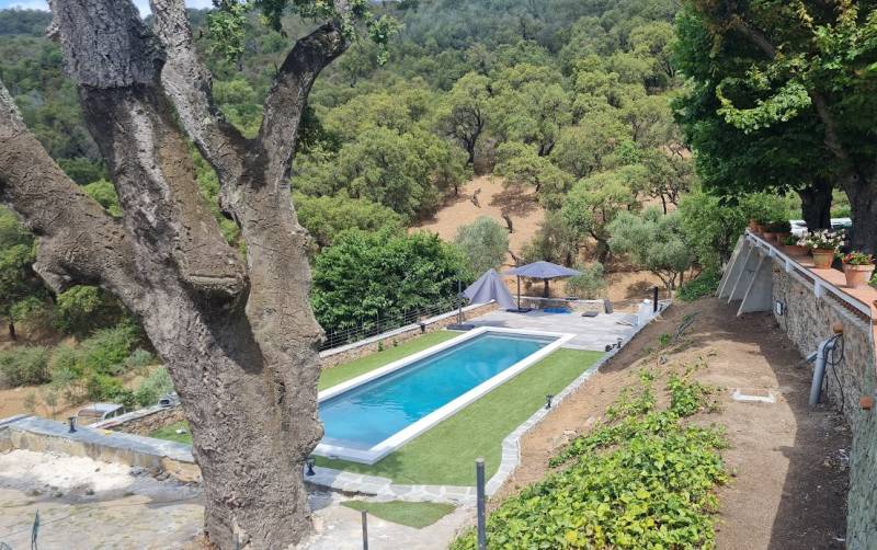 Construction d'une piscine couloir de nage haut de gamme de 15mx3,5 en béton armé avec émaux bleu clair sur les hauteurs de Cannes Alpes Maritimes 06 ou ailleurs